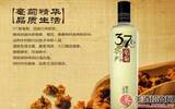 古井贡酒用37℃亳菊酒为亳州代言