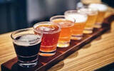国产品牌啤酒涨价近二成 高端啤酒增长达160%