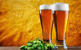 8家世界知名啤酒品牌签约青岛国际啤酒节