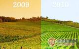 哪些气候因素影响葡萄酒年份差异？