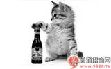 日本推出宠物葡萄酒“猫咪新酒”