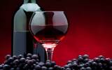 西班牙葡萄酒与美食之旅概览