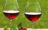进口葡萄酒加大推广力度 国产葡萄酒能否招架？