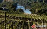 智利：火灾后的新兴葡萄酒产区之路