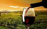 葡萄酒市场风口来临 未来谁主市场？