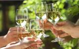 酷暑难耐 如何用白葡萄酒拯救你的美餐？