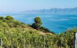 江河湖海对葡萄酒有哪些影响？