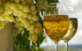 第三大流行白葡萄酒：莫斯卡托葡萄酒指南