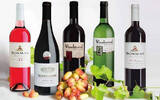 南非葡萄酒希望在中国得到更大市场份额
