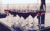 如何轻松的判断一瓶葡萄酒的陈年潜力？