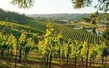 英国Berkmann葡萄酒商成为加州山脊酒庄的英国分销商