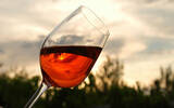 玫瑰葡萄酒：最性感的地中海魅力饮品