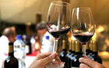 今年前5个月乌拉圭红酒出口量同比上涨148%