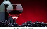 酿酒需要多少葡萄？