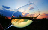 葡萄酒的透明度与酒质成正比吗?