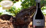 张裕旗下歌浓酒庄产品获得Decanter世界葡萄酒大赛年度最高奖项