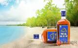 海南椰岛酒业招商条件有哪些？