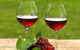 研究表明 红酒和葡萄中的天然成分可以抑制呼吸道炎症