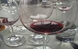 影响葡萄酒酒精度的因素有哪些？