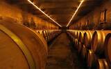 从波尔多拉菲到阿德雷德丁戈树 旧世界葡萄酒输了？