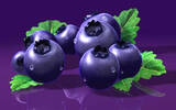 黑龙江省《蓝莓酒》地方标准上升为国家标准