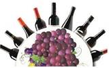 葡萄酒与健康：七个适量饮用红酒的好处