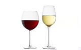 白葡萄酒杯与红葡萄酒杯究竟有哪些不同？
