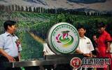 “中国葡萄酒城”举办葡萄美酒节