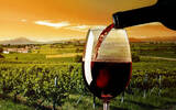 西班牙葡萄酒出口严重依赖散装酒 散装葡萄酒占比过半