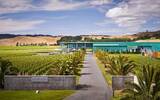 霍克湾葡萄酒产区：新西兰北岛的优雅之地