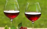 单宁对葡萄酒有什么作用？