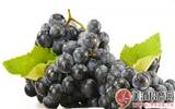 酿酒的葡萄打农药吗？