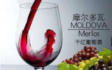 摩尔多瓦葡萄酒有什么特点?