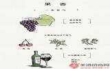 葡萄酒的果香和酒香如何区分