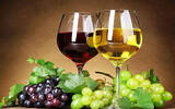 不同颜色的葡萄酒是不同颜色的葡萄酿造的吗？