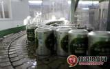 拉萨纯生啤酒正式批量生产