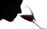 中国去年葡萄酒初步统计达17.2亿升